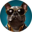 xavo_btw
